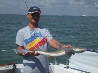 8 lb 7 oz Smooth-hound by Unknown