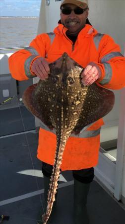 12 lb Thornback Ray by NIGEL ANDREWS