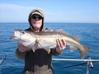 12 lb 8 oz Pollock by Mick