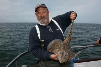 10 lb Thornback Ray by Steve Harrison