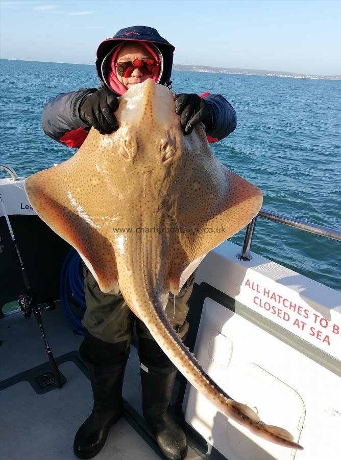 23 lb Blonde Ray by Kin