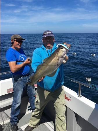 12 lb Pollock by Dave