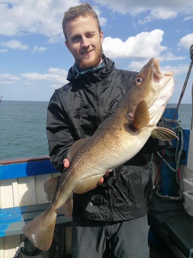 8 lb 8 oz Cod by Josh from pickering