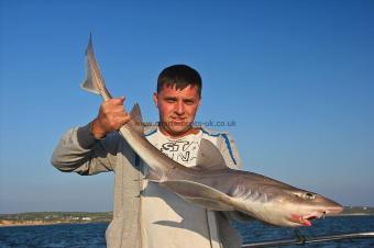 14 lb Starry Smooth-hound by Paul