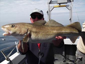 15 lb Cod by Unknown