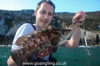 2 lb Ballan Wrasse by Mark