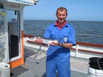 3 lb Bass by steve andrews