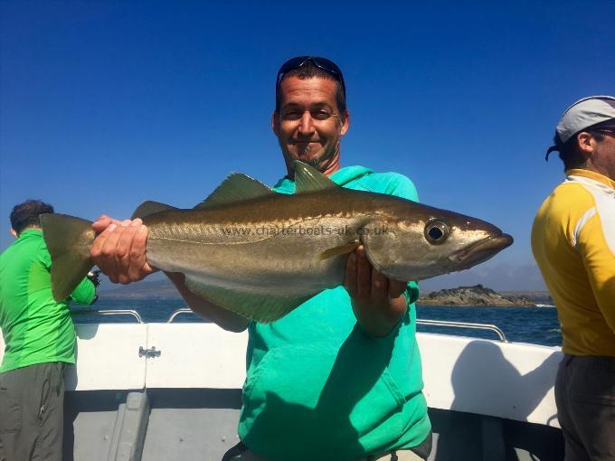 3 lb 11 oz Pollock by Unknown