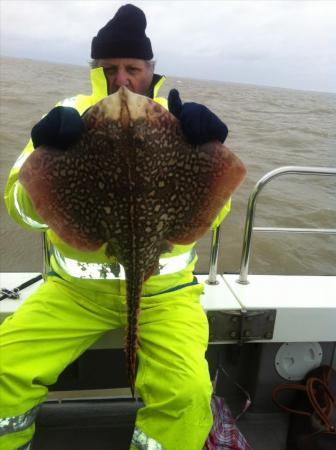 12 lb 2 oz Thornback Ray by Derek from Waltham cross