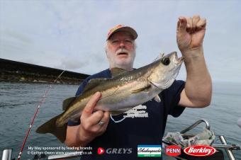 4 lb Pollock by David