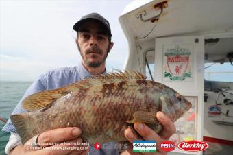 2 lb Ballan Wrasse by Carl