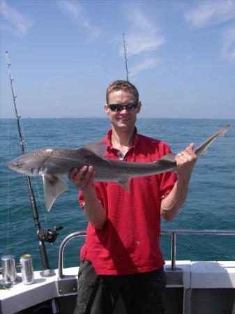 12 lb Smooth-hound by Aaron