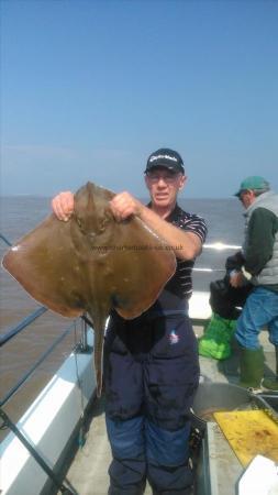 16 lb Blonde Ray by mark