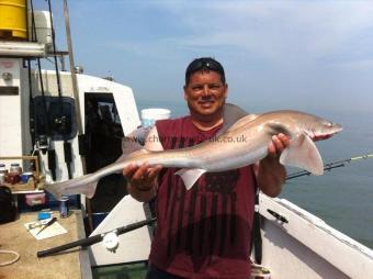 10 lb Smooth-hound (Common) by Paul