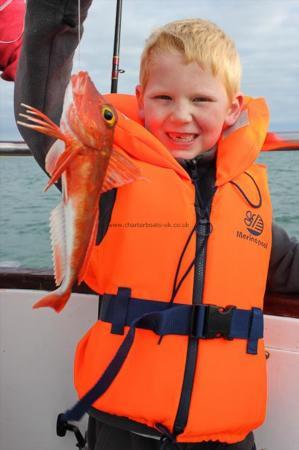 1 lb Red Gurnard by Lee