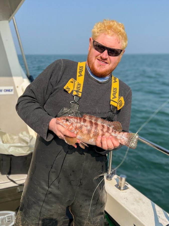 1 lb 8 oz Ballan Wrasse by Martyn Spooner