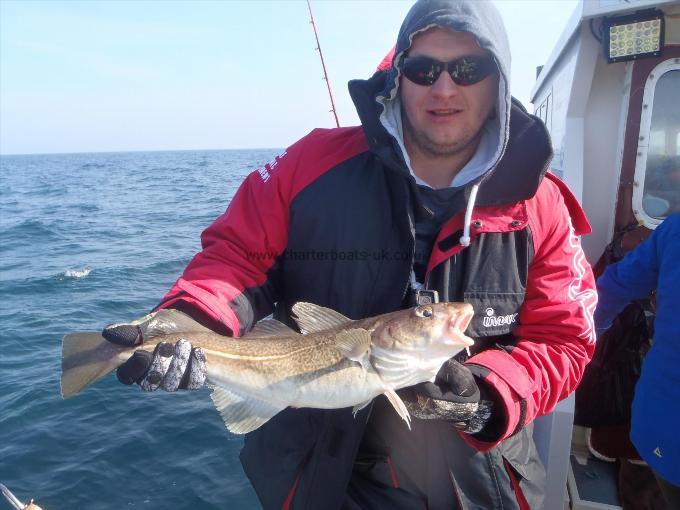 3 lb 6 oz Cod by Unknown