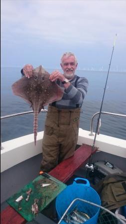 6 lb Thornback Ray by Unknown