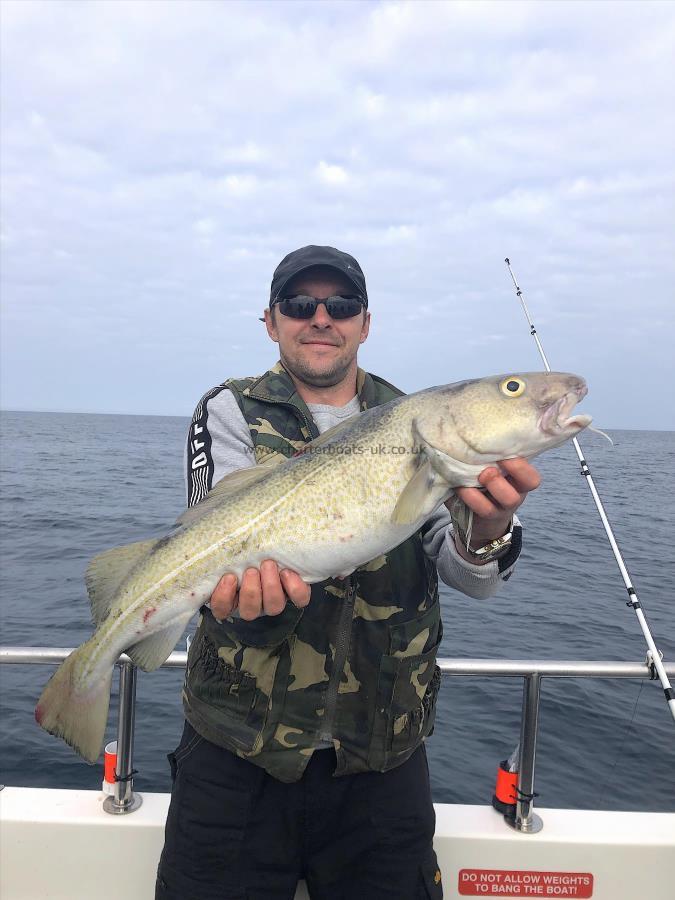 8 lb 8 oz Cod by Claudiu