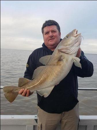 11 lb 8 oz Cod by Unknown