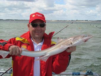 4 lb 5 oz Smooth-hound (Common) by Jeff Wright