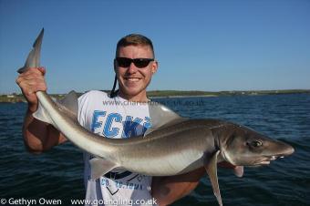 21 lb Starry Smooth-hound by Mike