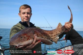 8 lb Bull Huss by Dave