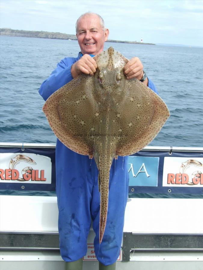 15 lb Blonde Ray by David Metcalf