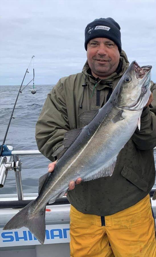 10 lb Coalfish (Coley/Saithe) by Colin