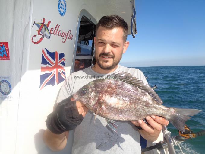 2 lb 8 oz Black Sea Bream by Unknown