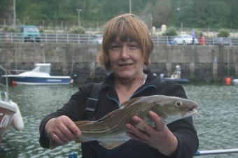 3 lb Cod by June Marshall