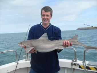 15 lb Starry Smooth-hound by Unknown