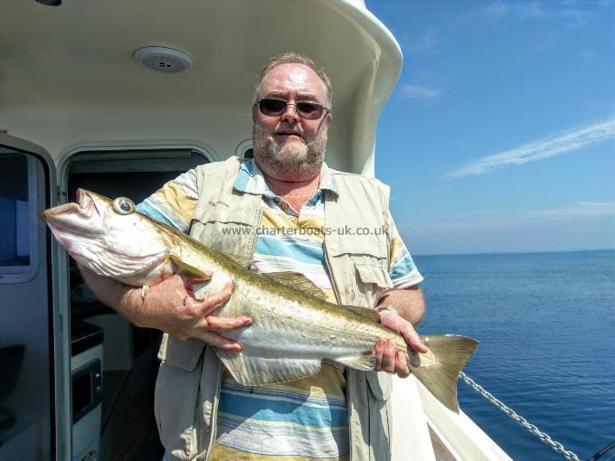 11 lb 1 oz Pollock by Unknown