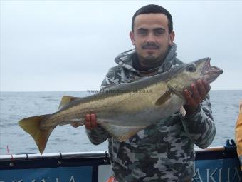 10 lb 8 oz Pollock by Marius Efteme