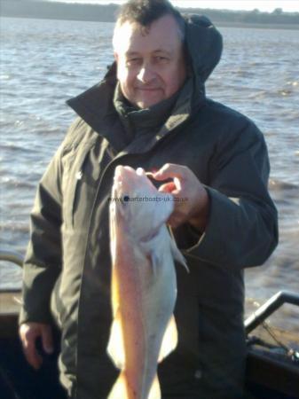 3 lb Cod by Unknown