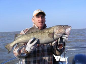 9 lb 12 oz Cod by Tim Elliston