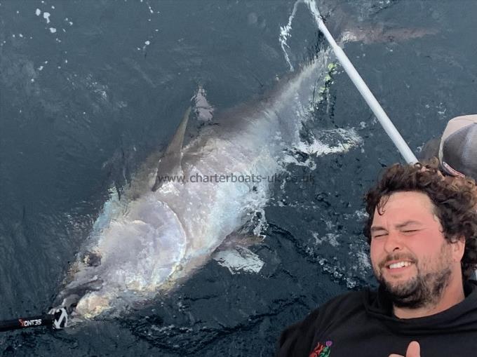 300 lb Bluefin Tuna by Unknown