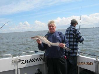 6 lb Smooth-hound (Common) by Unknown