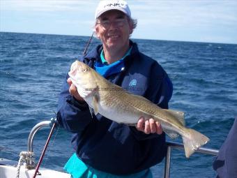 8 lb Cod by Unknown