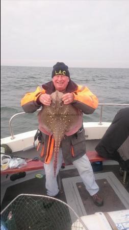 10 lb Thornback Ray by Unknown