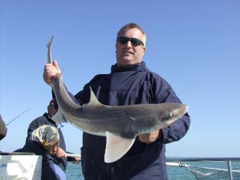 1 oz Starry Smooth-hound by chris