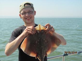 3 lb 5 oz Thornback Ray by Arminas