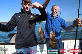 2 lb Ballan Wrasse by Unknown