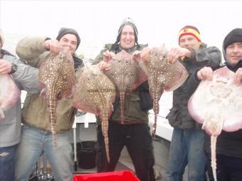 10 lb 2 oz Thornback Ray by dave