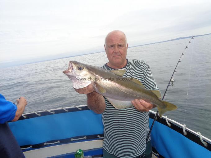 7 lb 5 oz Pollock by caught by gary