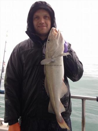 7 lb 4 oz Cod by Sacha