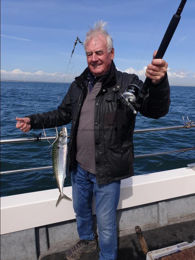 1 lb 8 oz Mackerel by Bob Marshall