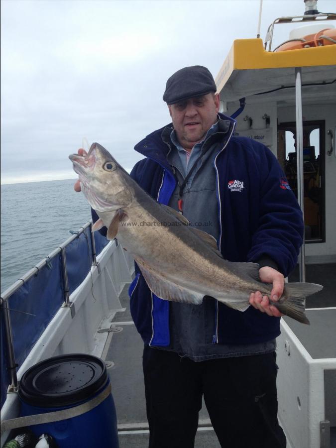 13 lb 8 oz Pollock by Paul