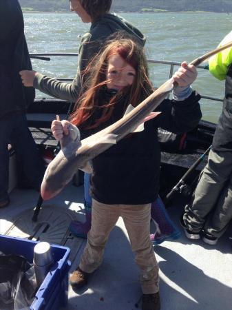 12 lb 7 oz Smooth-hound (Common) by Natalie