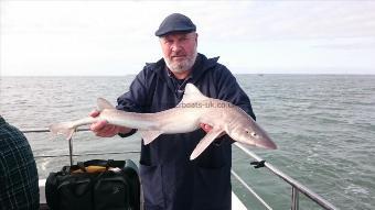 7 lb 8 oz Starry Smooth-hound by Bob Marshall